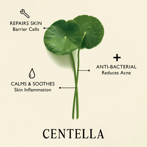 Arirang Beauty Soapberry Deep Pore Cleanser - Arirang Beauty