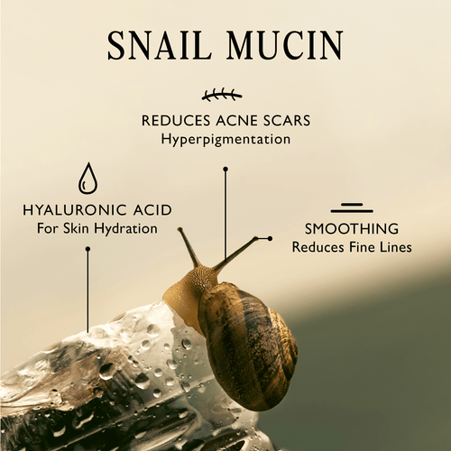 Arirang Beauty Wild Ginseng Snail Cream - Arirang Beauty